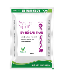 BV-BỔ GAN THẬN