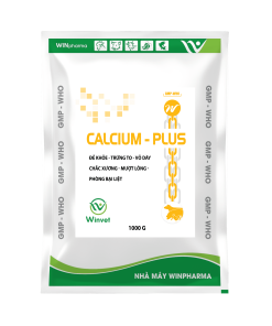 CALCIUM-PLUS