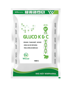 GLUCO K C