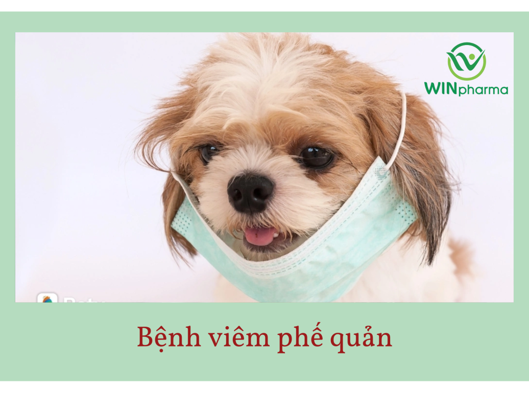 Bệnh viêm phế quản