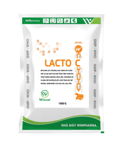 LACTO C