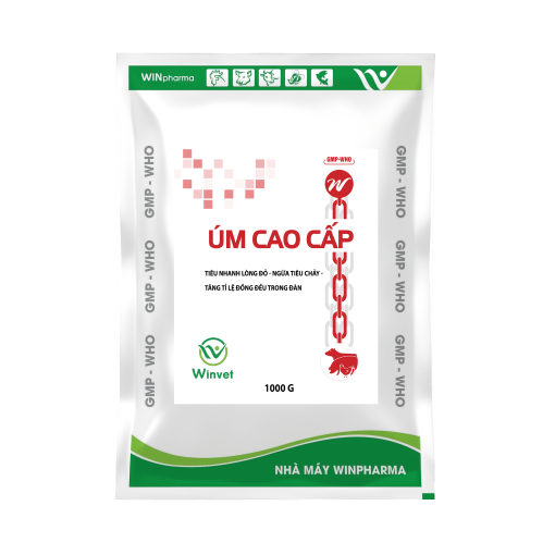 ÚM GÀ-VỊT-CÚT CON