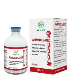 AMMOXCLANIC