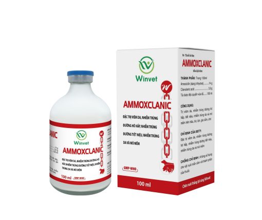 AMMOXCLANIC