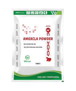 AMOXCLA POWDER