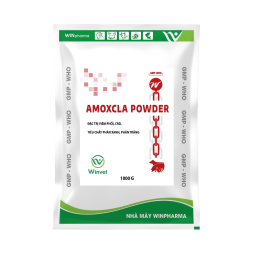 AMOXCLA POWDER