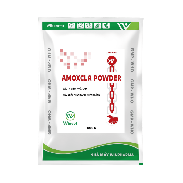 AMOXCLA POWDER