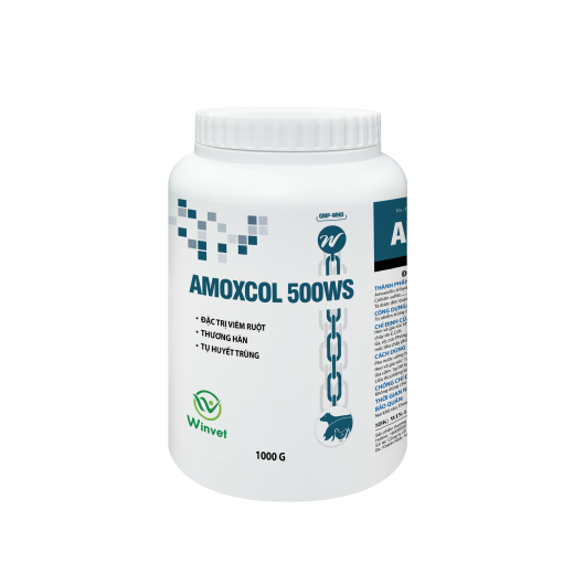 AMOXCOL 500WS