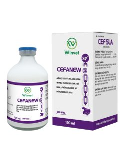 CEFANEW @