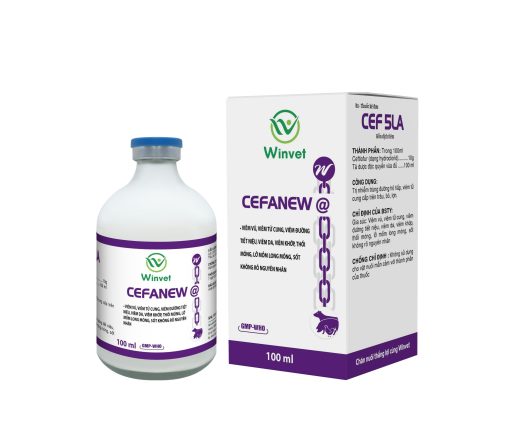 CEFANEW @