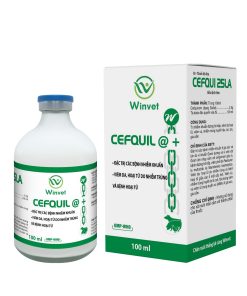 CEFQUI 25LA