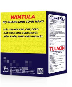 wintula bộ kháng sinh toàn năng